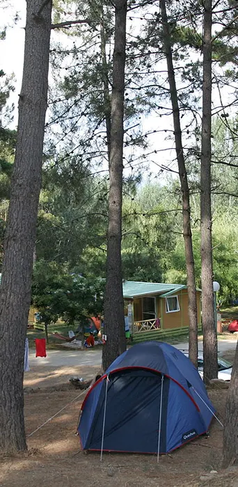Berceau Camping : Camping La Pinede Emplacements