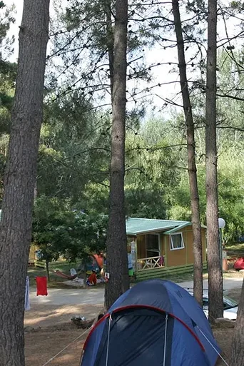 Camping La Pinède : mobil-home et emplacements en Corse - Saint-Florent