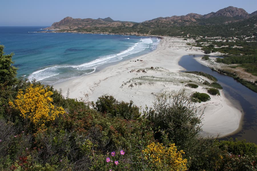 desert des agriates - randonnees et plages - camping la pinede