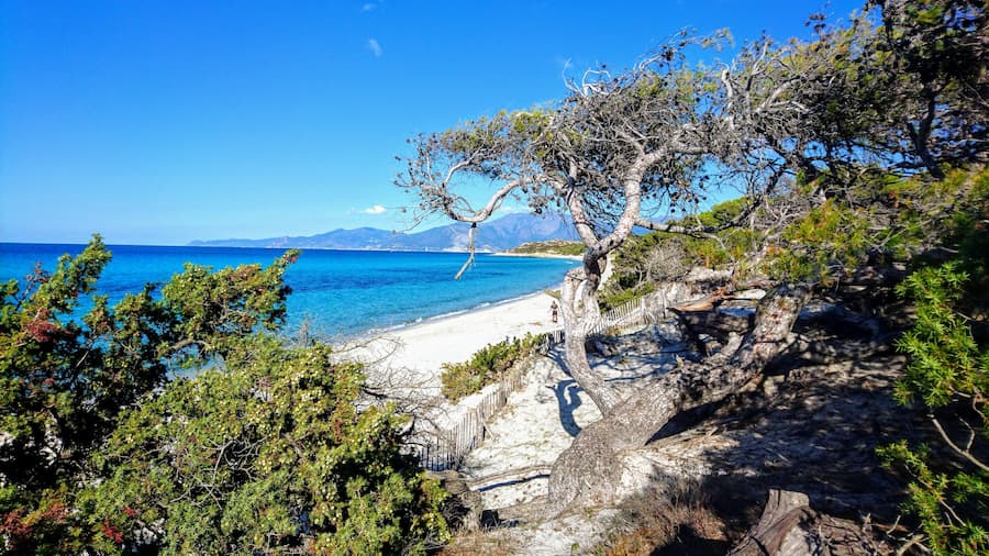 plage saleccia accessible randonnee desert des agriates - camping la pinede