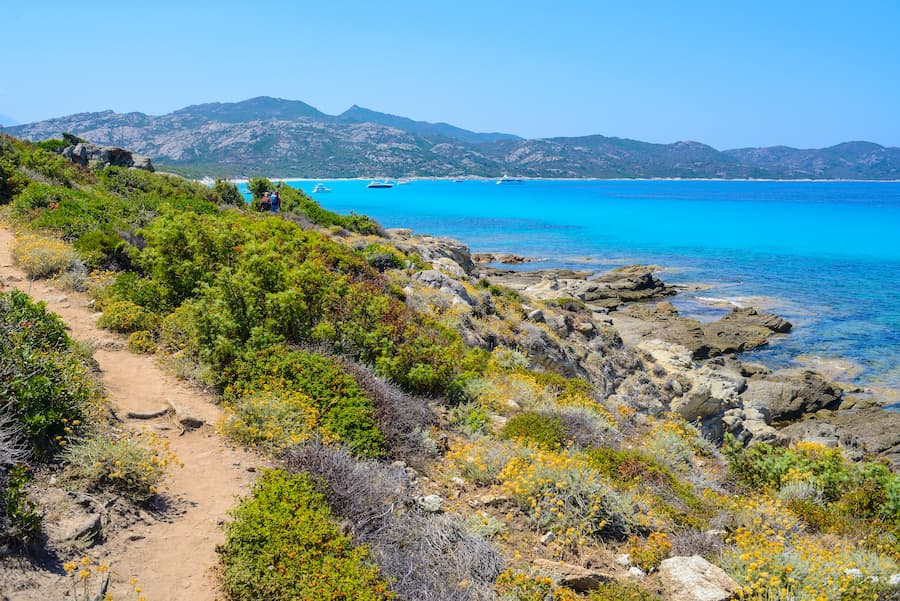 sentier randonnee plage lotu & saleccia - camping desert des agriates